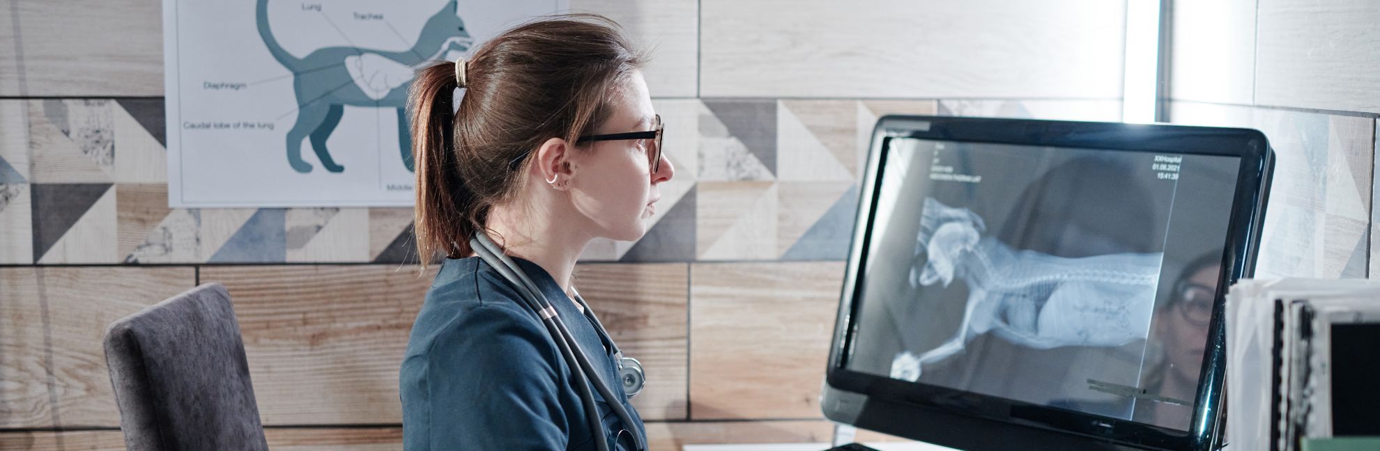 Closing the Veterinary Readiness Gap Preparing Graduates for Real-World Practice
