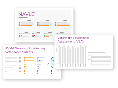 _Actionable dashboards graphic for veterinary medicine programs
